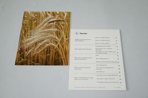 Abbildung Didaktisches Material: Getreidekartei