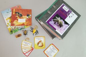 Abbildung Didaktisches Material: Themenkiste S - Die Biene