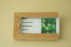 Abbildung Didaktisches Material: Pilze und Kräuter