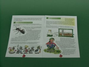 Abbildung Didaktisches Material: Ameisen-Beobachtungsfarm