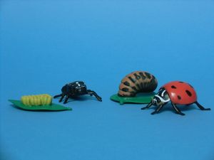 Abbildung Didaktisches Material: Spielfiguren Lebenszyklus eines Marienkäfers