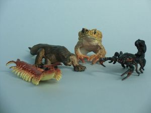 Abbildung Didaktisches Material: Spielfiguren Giftige Tiere