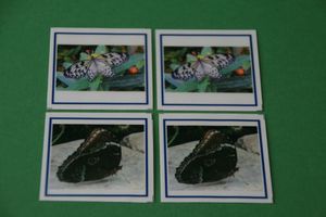 Abbildung Didaktisches Material: Schmetterling - Kartenlegespiel