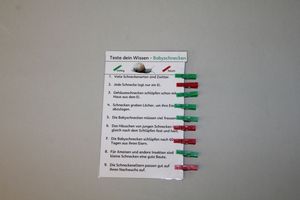 Abbildung Didaktisches Material: Schnecke - Klammerkarten