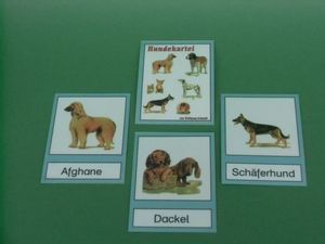 Abbildung Didaktisches Material: Hundekartei