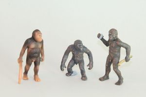 Abbildung Didaktisches Material: Plastikfiguren zur Evolution des Menschen 