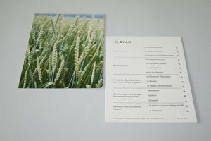 Abbildung Didaktisches Material: Getreidekartei