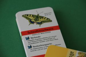 Abbildung Didaktisches Material: Fächer "Schmetterlinge"