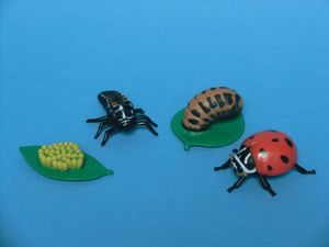 Abbildung Didaktisches Material: Spielfiguren Lebenszyklus eines Marienkäfers