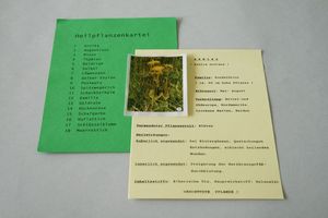 Abbildung Didaktisches Material: Heilpflanzenkartei