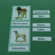 Hundekartei