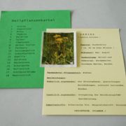 Heilpflanzenkartei