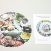 Legekreis: Einheimische Landschnecken